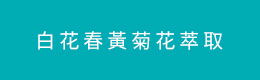 白花春黃菊花萃取