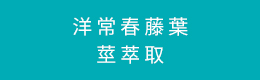 洋常春藤葉莖萃取