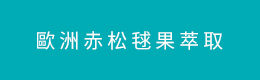 歐洲赤松毬果萃取