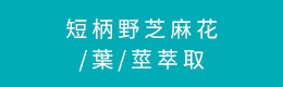 短柄野芝麻花/葉/莖萃取