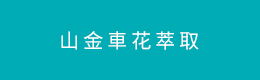 山金車花萃取